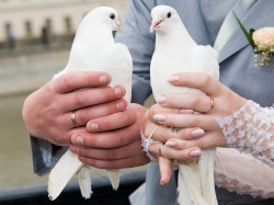 Doves being held for release at a wedding.